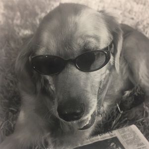 Meet your Posher, Lynn